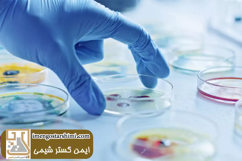 انواع پلیت آزمایشگاهی 